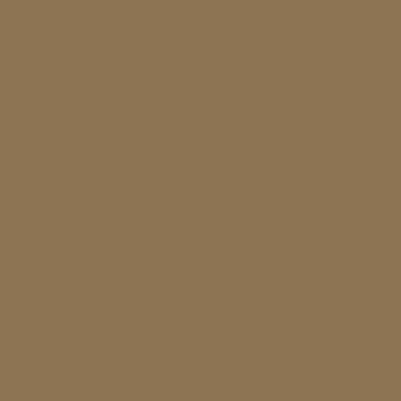 Mettler Extra Strong 0465 Aniseed polyester thread colour