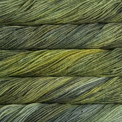 Malabrigo Rios yarn colour 138 Ivy