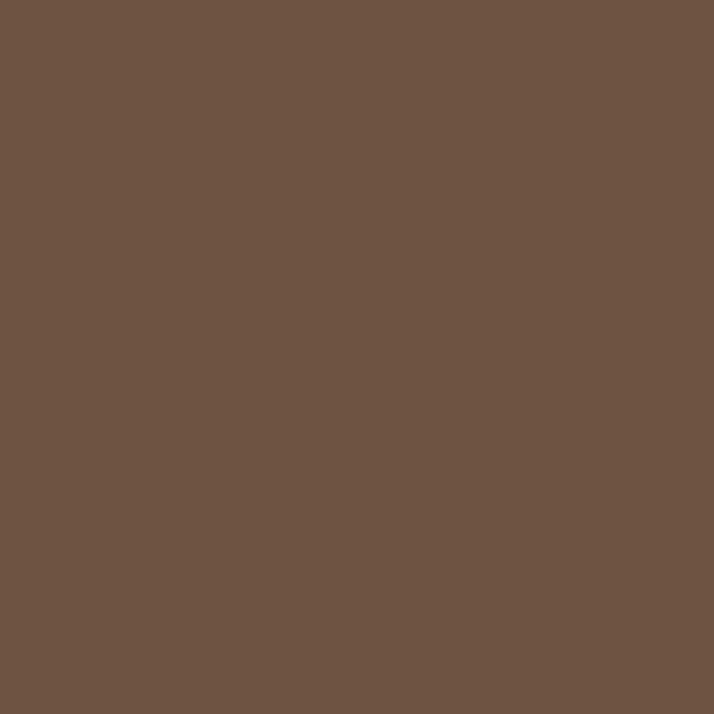 Mettler Extra Strong 1223 Pecan polyester thread colour