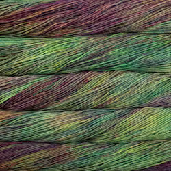 Malabrigo Rios yarn colour 866 Arco Iris