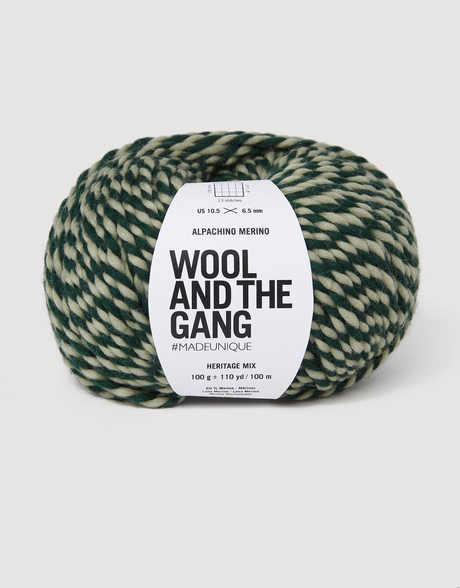 Alpachino Merino Twist chunky yarn in Heritage Mix