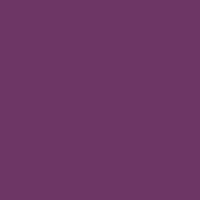 Coats Terko Satin 36 Purple C4351 colour swatch