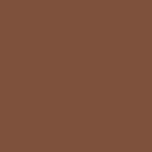Coats Nylbond 60 Brown H0021 bonded nylon thread colour