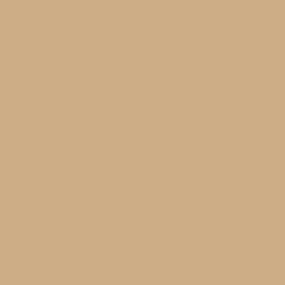 Coats Terko Satin 36 Beige H0673 colour swatch
