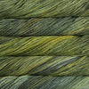 Malabrigo Rios Superwash Merino Worsted / 10 Ply Yarn, 138 Ivy