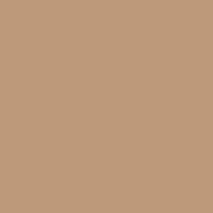 Coats Dabond Outdoor Toast 0SB28 colour swatch