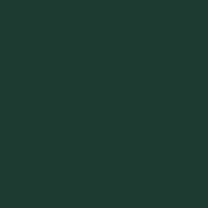 Coats Dabond Outdoor Forrest Green 0SB37 colour swatch