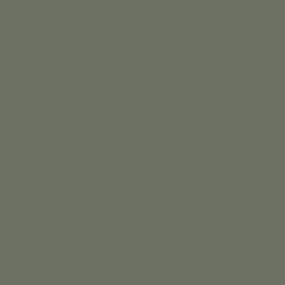 Coats Terko Satin 36 Olive H1080 colour swatch